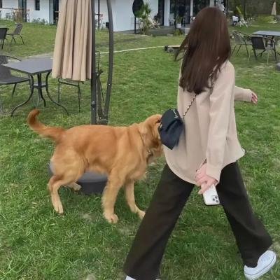 喵星人的奇思妙想
